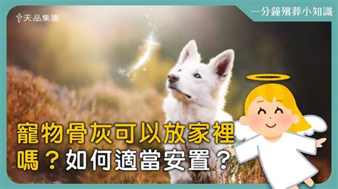 貓咪骨灰可以放家裡嗎|【天品生命小知識】寵物骨灰可以放家裡嗎？如何適當。